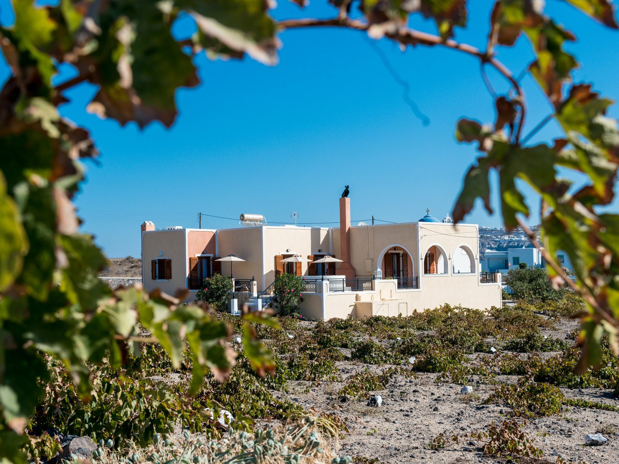 Vineyard Exclusive Suites Akrotírion Zewnętrze zdjęcie